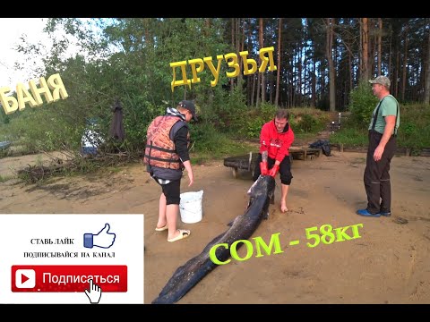 Видео: СОМ ТРОФЕЙНЫЙ АВГУСТ РЫБИНКА 2024