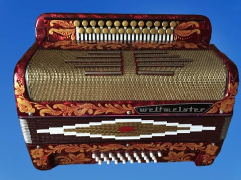 Видео: Паша гармонист - Презентация мастеровой гармони Weltmeister