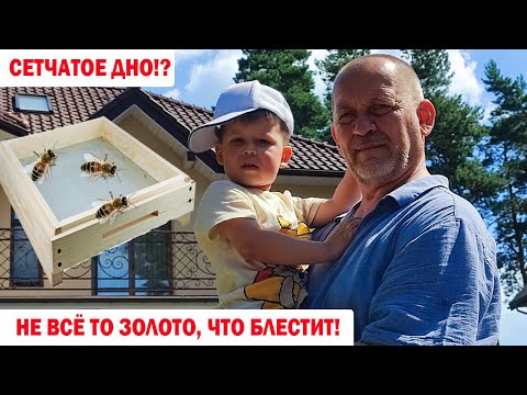 Видео: Сетчатое Дно - Будьте Осторожны! Не всё то Золото, что Блестит!?