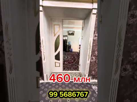 Видео: 9 октября 2025 г.