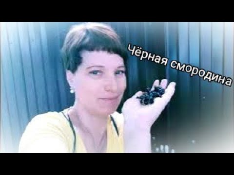 Видео: Утренняя прогулка по Ессентукам под песни группы "МИРАЖ". Видео позитив