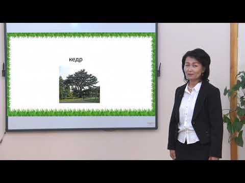 Видео: 3 класс / Орус тили / Кто лечит леса? / 22.05.2020