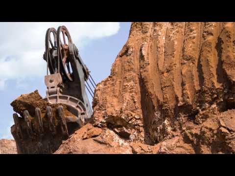 Видео: Торгайская порода