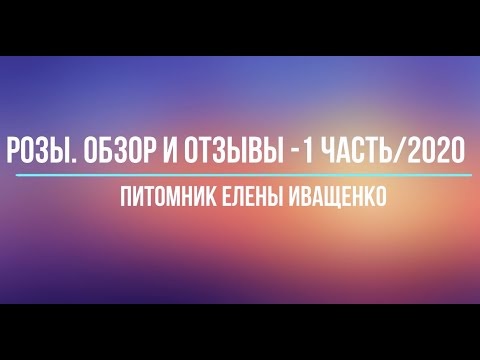 Видео: Обзор и Отзывы о Розах /наших покупателей/ Елены Иващенко.  Часть 1/2020