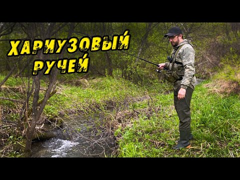 Видео: Ловля ХАРИУСА в Лесном Ручье. Первый Выезд Мая и Первые поклëвки запретной рыбы! Рыбалка на хариуса