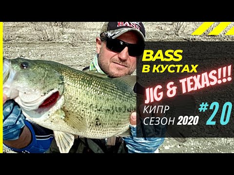 Видео: В кустах 🔥 БАСС на JIG & Texas Рыбалка на Кипре 🇨🇾 Сезон 2020 Часть - 20