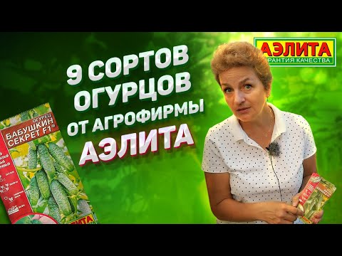 Видео: Популярные Сорта Огурцов от Агрофирмы Аэлита