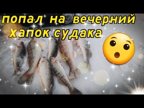 Видео: Попал на вечерний хапок СУДАКА!!! Удочка в дугу от этих монстров😯