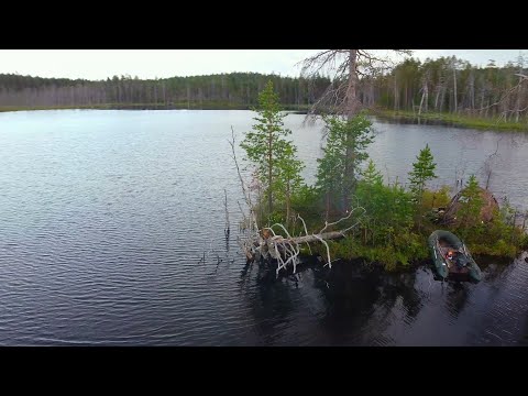 Видео: ЩУКА КАК БЕШЕННАЯ. РЫБАЛКА НА ДИЧАЙШЕМ ОЗЕРЕ. ЖИВУ НА МАЛЕНЬКОМ ОСТРОВЕ. РЫБАЛКА НА КРУЖКИ