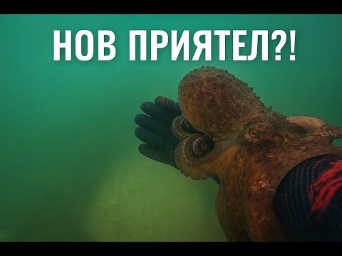 Видео: Намерих си нов приятел в Гърция!