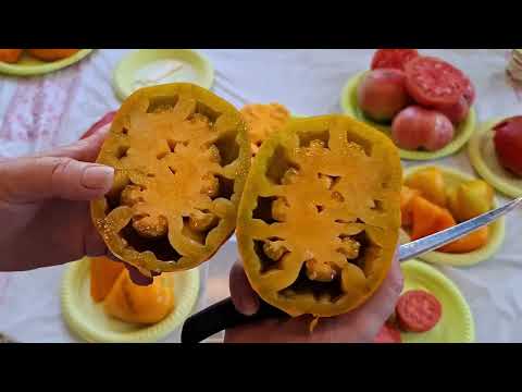 Видео: Заключительная дегустация сезона  !С постскриптумом