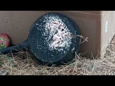 Видео: хатсан 80 4.5 полнотелками по всему