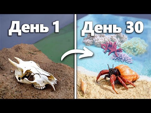 Видео: Симуляция Пляжа В Течение 30 Дней