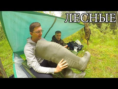 Видео: УКРЫТИЕ ИЗ ТЕНТА И НОЧЕВКА В НЕМ | ГОВНОБОЛОТНИКИ | ЗА ХАРИУСОМ