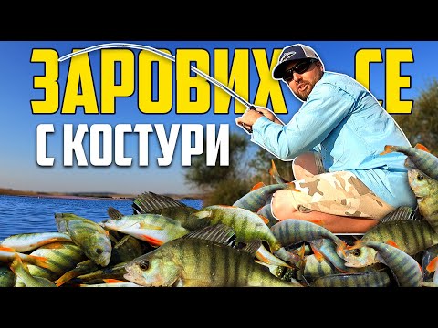 Видео: СОМ ПОДГОНИ КОСТУРИТЕ! НАЙ-ЯКИЯТ РИБОЛОВ НА КОСТУР В ЖИВОТА МИ! Малко Шарково