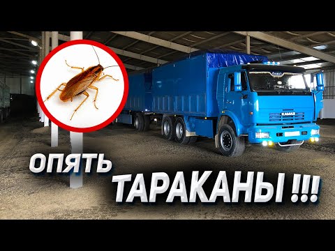 Видео: застрял с ТАРАКАНАМИ на КАМАЗЕ