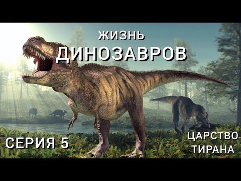 Видео: ЖИЗНЬ ДИНОЗАВРОВ (2024). СЕРИЯ 5 – ЦАРСТВО ТИРАНА