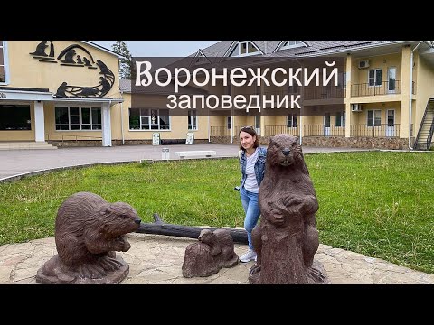 Видео: Воронежский биосферный заповедник. В гостях у бобров.
