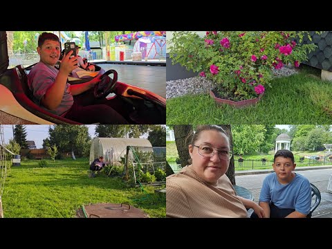 Видео: Только я и он ❤️/мои помидоры, которые я зажала, помните?!/планы на осень 🍂