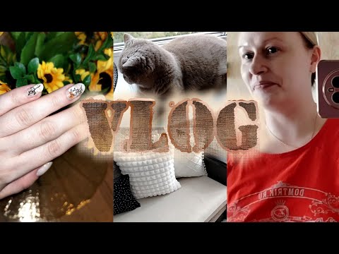 Видео: 🏡VLOG 💜Отзывы о покупках с ВАЙЛДБЕРРИЗ 🫰Непредвиденные расходы 👱‍♀️☝️Я вам серьёзно говорю