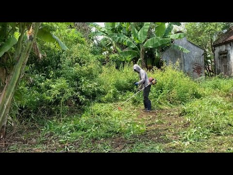 Видео: уборка помогает сообществу преобразить заброшенный дом с заросшей травой