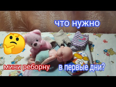 Видео: Что нужно мини реборну / в первые дни жизни 🤔🤔🤔????