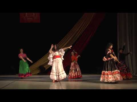 Видео: Gypsy dance Венгерка с Венерой Ферарь