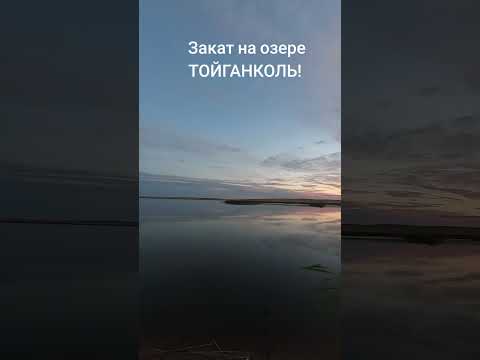 Видео: 10 августа 2025 г.