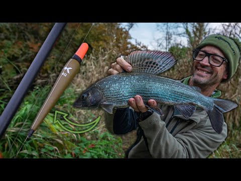 Видео: БОЛЬШОЙ хариус | Река Фром | Ник Марш
