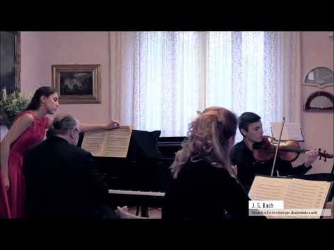 Видео: Бах Концерт №1 для клавира и струнных BWV 1052 Михаил Аркадьев фортепиано New Russian Quartet
