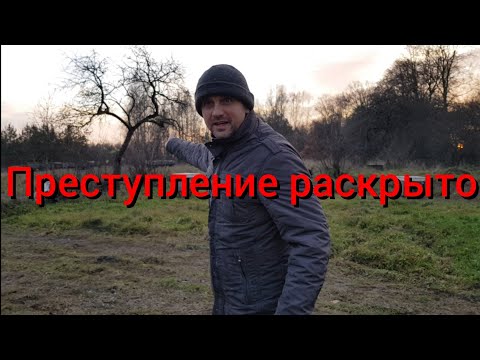 Видео: Теперь мы знаем кто убил ягнёнка ! Никто из зрителей такого даже не предположил .Дик реабилитирован