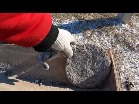 Видео: Эдильбаевская порода овец зимой