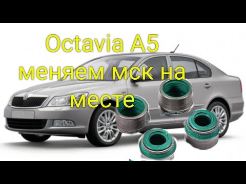 Видео: Octavia A5 1.6 меняем маслосъемные колпачки на месте