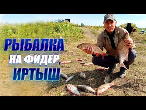 Видео: Осенняя рыбалка на фидер, река Иртыш #Рыбалка #Иртыш #Фидер