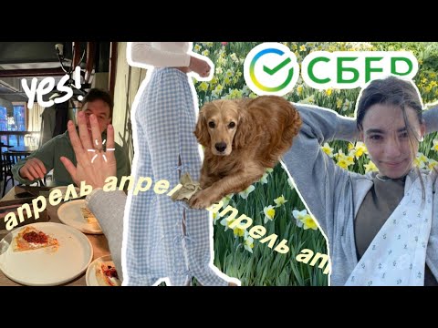 Видео: 17. АПРЕЛЬ. КАК СШИТЬ ШТАНЫ ИЗ PINTEREST, УВОЛИТЬСЯ ИЗ СБЕРА И ВЫЙТИ ЗАМУЖ.