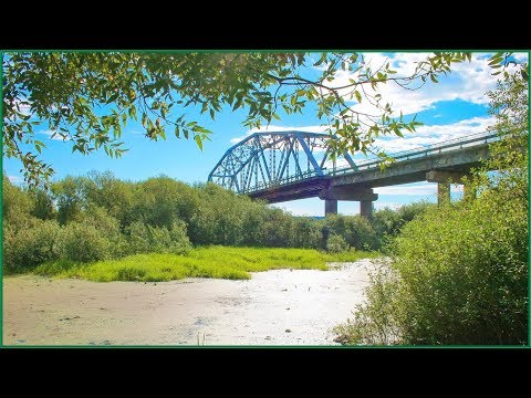 Видео: Дорогие мои, земляки! My dear fellow countrymen! Berezino. Minsk Region. Belarus.
