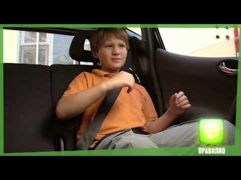 Видео: Сообраќаен буквар - Деца во возило