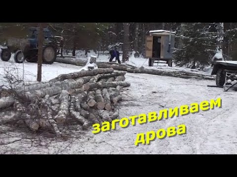 Видео: Заготавливаем дрова.