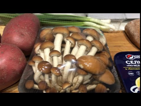 Видео: Картошка с грибами МУКБАНГ mukbang eating