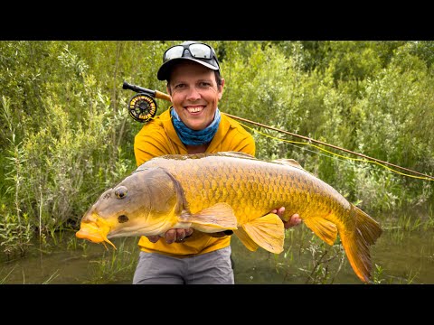 Видео: Истории о больших рыбах: возможно, самая нереальная рыба, которую я когда-либо ловил