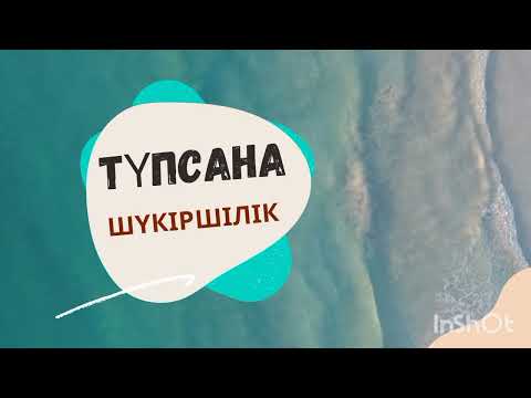 Видео: ТҮПСАНА. Шүкіршілік.Айнур Турсынбаева. Аудио кітаптар. Аудио кітап қазақша.Мотивация