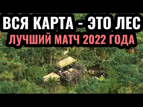 Видео: ЛУЧШИЙ Forest Nothing на канале?! Вся карта - это лес в Age of Empires 2 - Пока, 2022 год