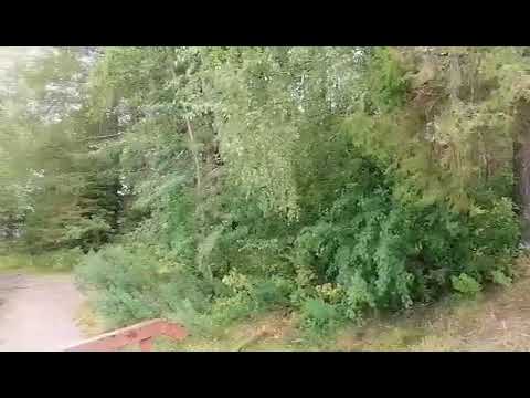 Видео: нижнетуринский пруд