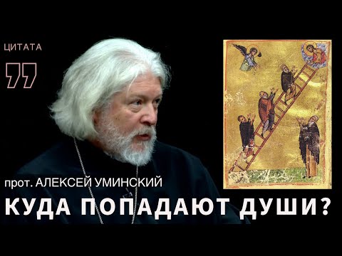 Видео: Куда попадают души после смерти? — прот. Алексей Уминский, отрывок из беседы о смерти 12.09.24