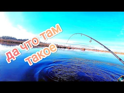 Видео: РЫБА РОСЛА и РОСЛА на ТОМ КОНЦЕ!!! УЖЕ Весна 2024