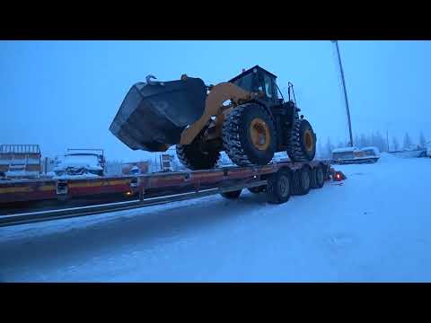 Видео: Морозы крепчают.