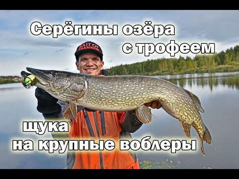 Видео: Воблерный рекорд на любимом пруду