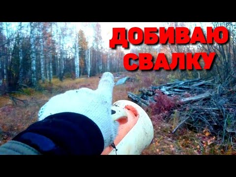 Видео: МЕТАЛЛОЛОМ СО СВАЛКИ! ВТОРОЙ ВЫЕЗД НА ТО ЖЕ МЕСТО. ЗАТРУДНЁННЫЙ ОСЕННИЙ ПОИСК.