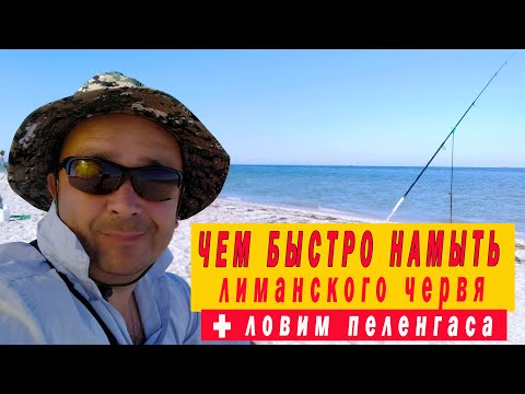 Видео: Чем быстро намыть лиманского червя I Ловим пеленгаса на Дальней косе I Часть 2