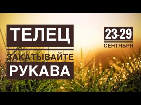 Видео: Телец ♉️ 23-29 сентября 2024 года 💐☀️🍀✨🍁❤️✨Таро Ленорман прогноз предсказания